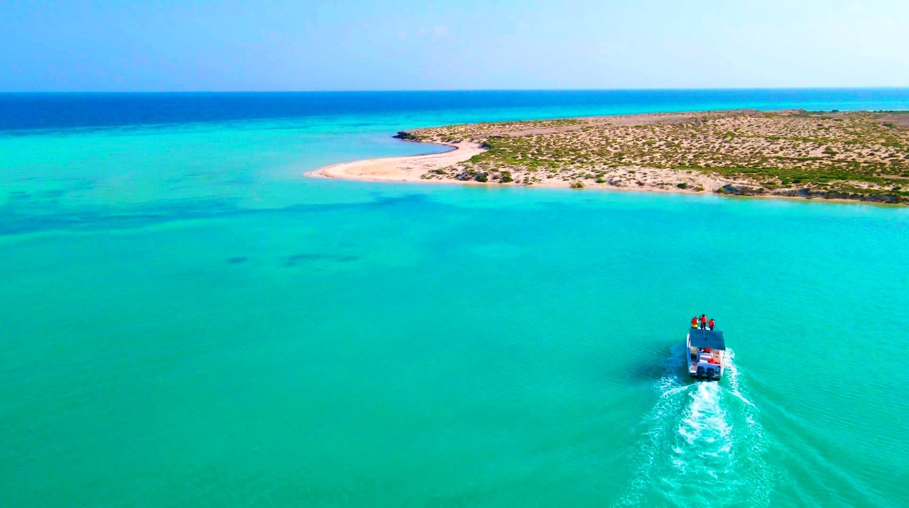 f49a7770-9452-42c3-ab22-3765a4031fb3