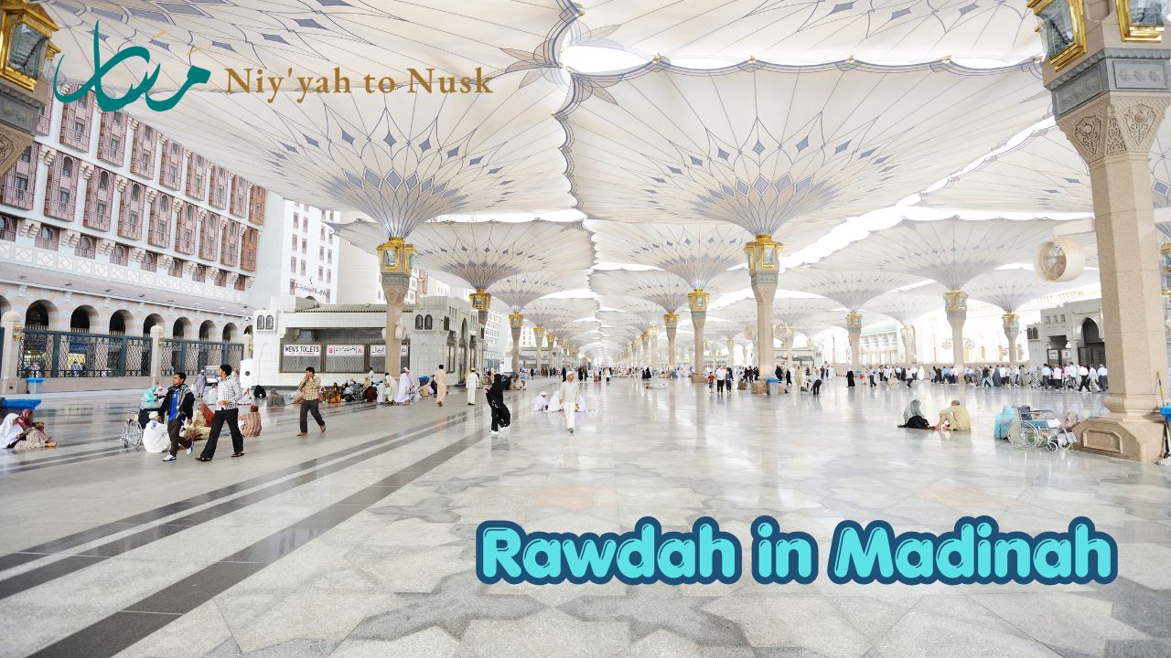 Rawdah in Madinah Guide Cheap Umrah Packages 2026